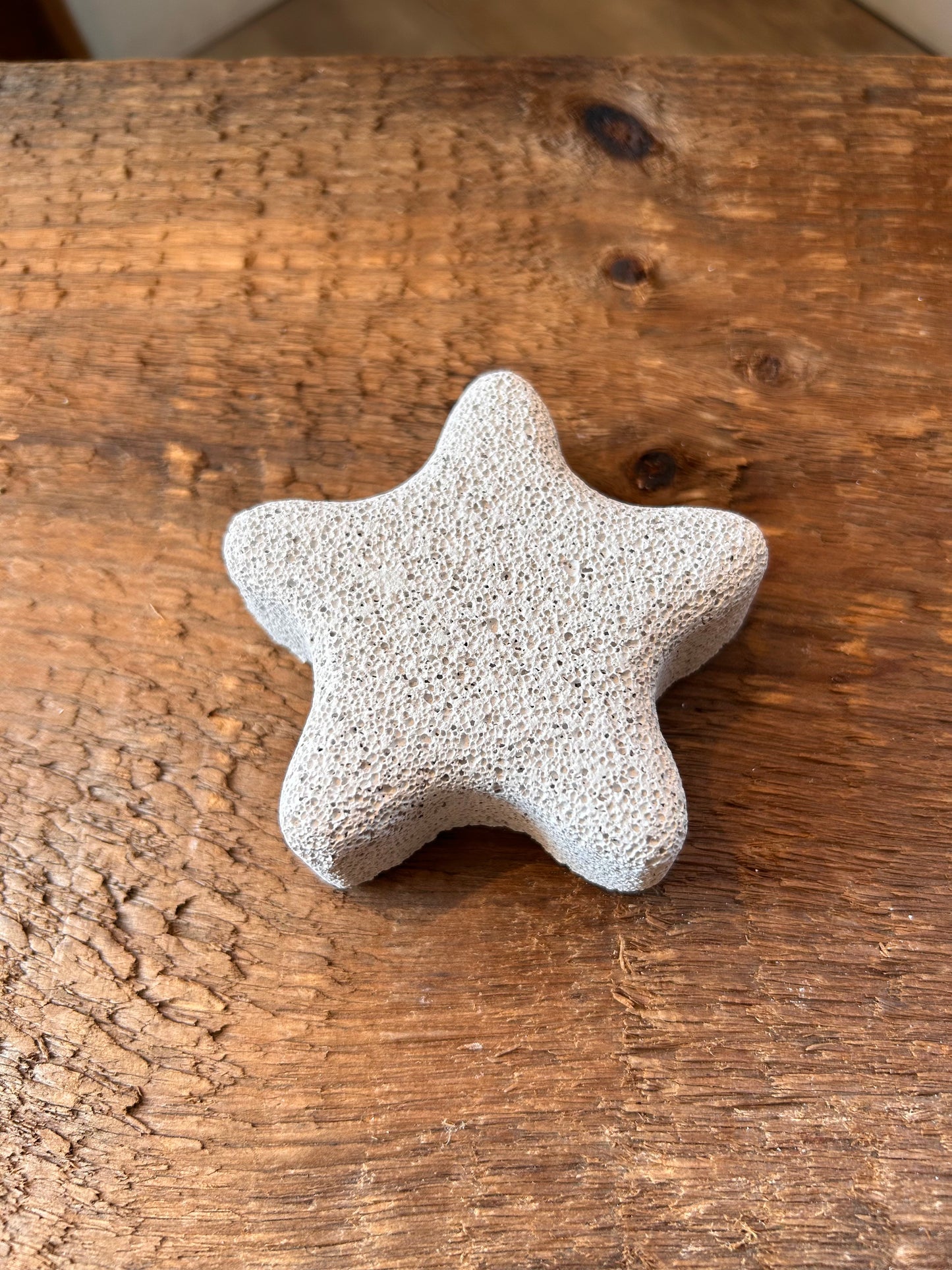 Starfish Pumice Stone