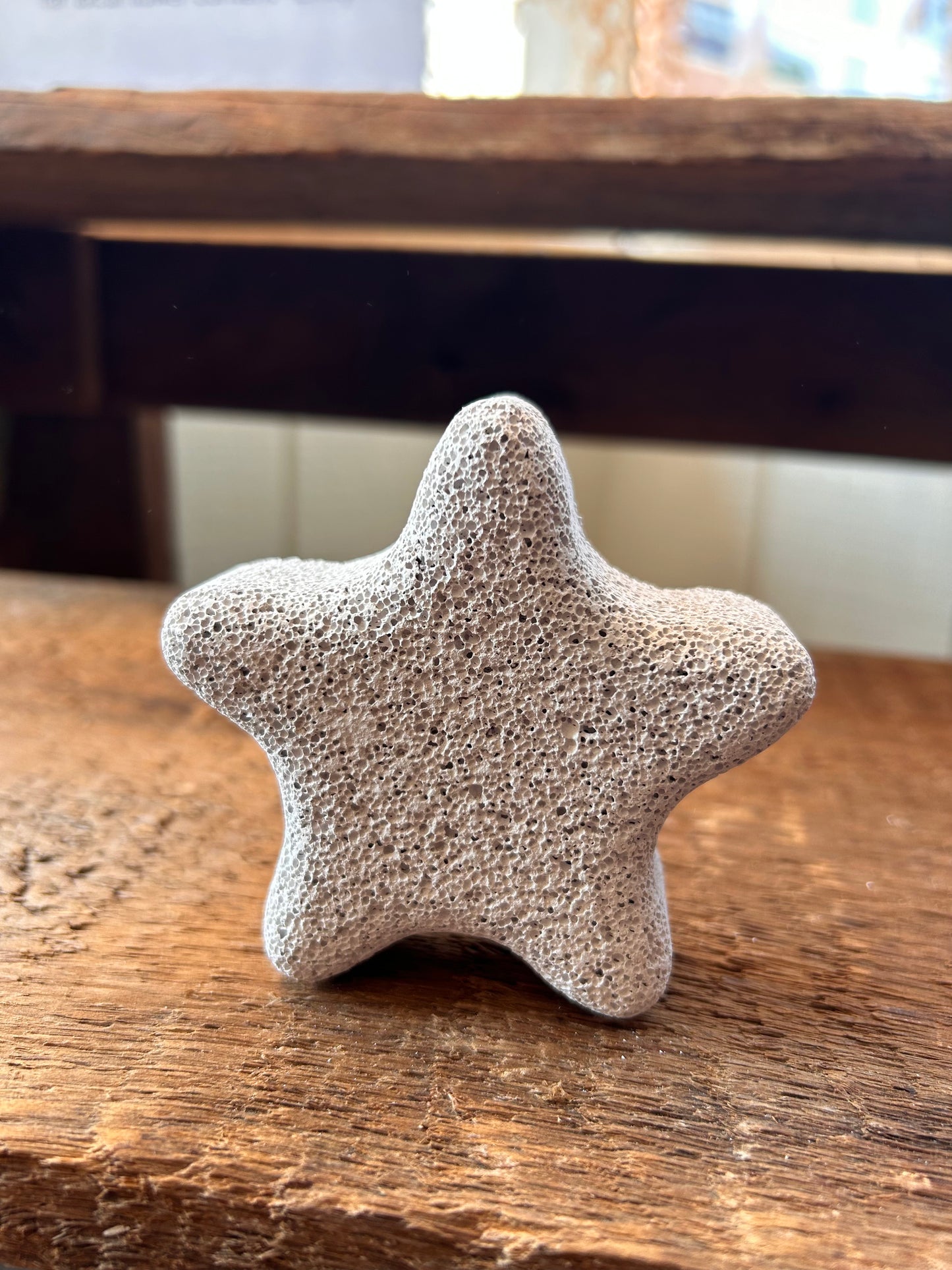 Starfish Pumice Stone