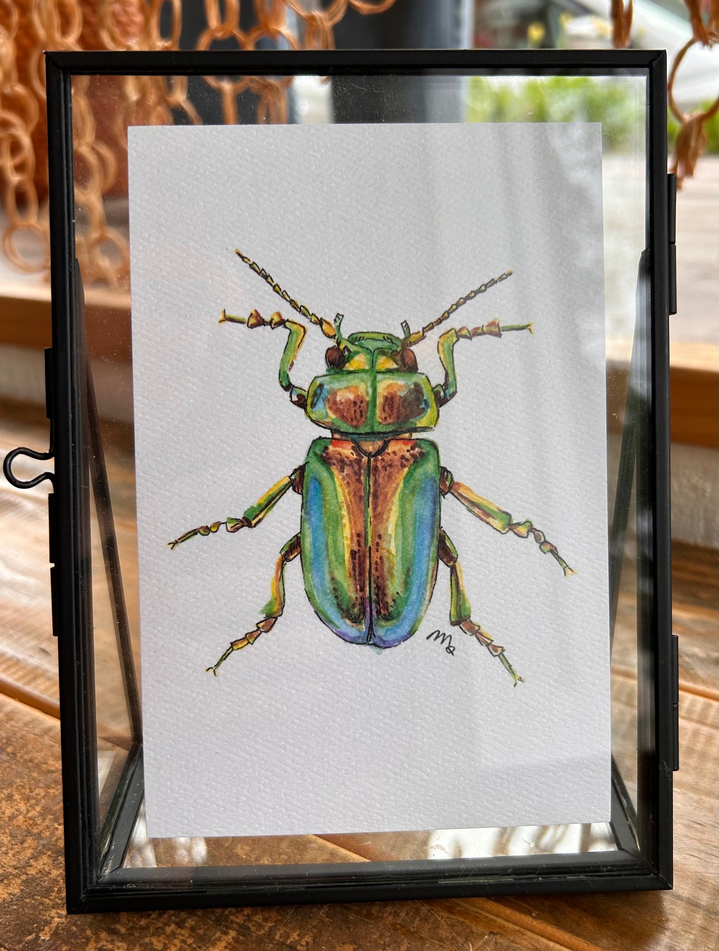 Large Framed Hand Painted Beetle