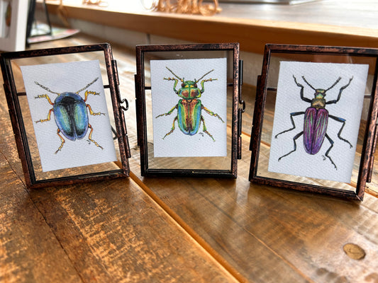 Tiny Framed Beetle Art